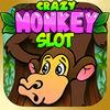 Crazy Monkey Slot - Free Casino Slot With Big Win, Jackpots And Bonus