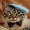 Cute Cats Puzzle - Hats On Cats
