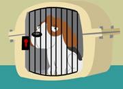 play Free The Dogs Escape 2