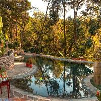 play Escape From Monteverde Lodge And Gardens