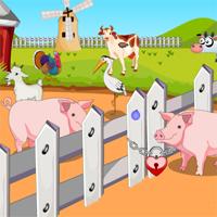 Pig Escape From Farm