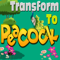 Transform To Peacock