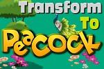 play Transform To Peacock