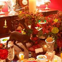 play Thanksgiving Dinner-Hidden Objects