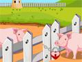 Pig Escape From Farm