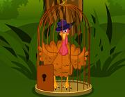 play Thanksgiving Caged Turkey Escape