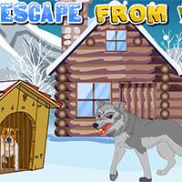 play Escape From Wolf