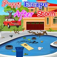 play Puppy Escape After Storm