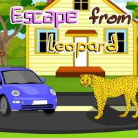 play Escape From Leopard