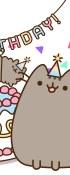 Pusheen’S Birthday Party