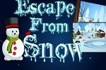 play Escape From Snow