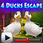 play 4 Ducks Escape Game Walkthrough