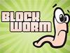 play Block Worm