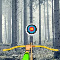 play Snow Forest-Hidden Targets