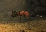 play Giant Ant Nest Mystery Game