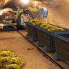 Mine Cart Simulator 3D - Offroad Mountain Construction 2016 Game