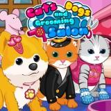 play Cats And Dogs Grooming Salon