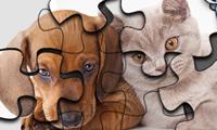 play Cat Vs Dog Puzzle