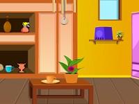 play Escape From Handsome House