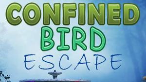 play Firstescape Confined Bird Escape
