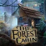 play The Forest Cabin
