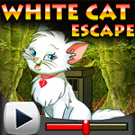 White Cat Escape Game Walkthrough