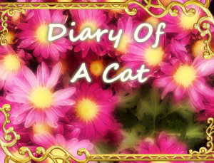 Diary Of A Cat