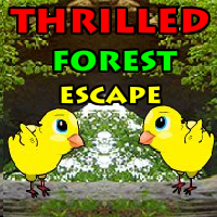 play Yal Thrilled Forest Escape