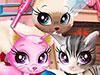 play Kitty Pet Care Salon