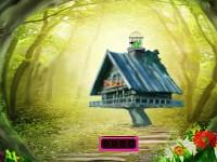 play Tazzy Parrot Escape