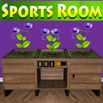 play Sports Room Escape