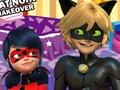 Ladybug And Cat Noir Room Makeover