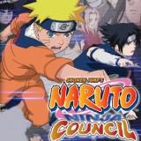 play Naruto: Ninja Council