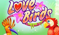 play Love Birds