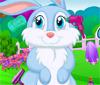 play Pet Bunny Grooming