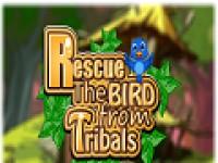 play Rescue The Bird From Tribal