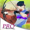 Bow Arrow Shooter Pro