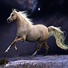 Beautiful Horse Running In Night