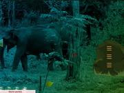 Elephant Forest Escape