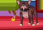 play Ajaz Games Dexter Dog