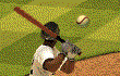 Baseball Pro