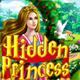 play Hidden Princess