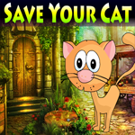 Save Your Cat Escape Game