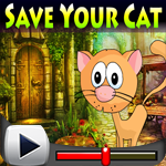 play Save Your Cat Escape Game Walkthrough