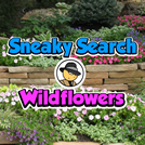 play Sneaky Search: Wildflowers