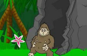 play Mission Escape: Jungle