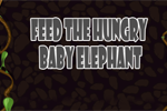 play Feed The Hungry Baby Elephant