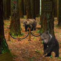 play Bear Forest Escape