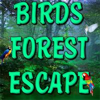 play Birds Forest Escape