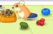 play Hamster Lost In Food